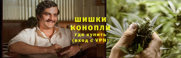 ECSTASY Новодвинск