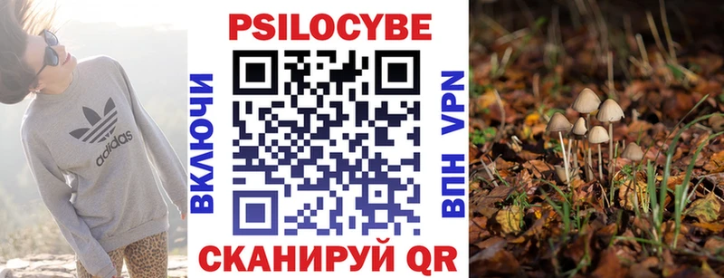 Псилоцибиновые грибы мухоморы  Купить  Янаул 
